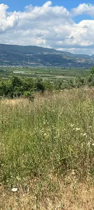Sakarya Geyve Karacaören Mahallesi 3.417 m² satılık tarla arsa - Fotoğraf 3