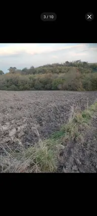 Balıkesir Gönen Turplu Mahallesi 6.800 m² satılık arazi arsa - Fotoğraf 3