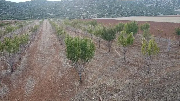Antalya Korkuteli Bayat Mahallesi 11.200 m² satılık bağ & Bahçe arsa - Fotoğraf 3