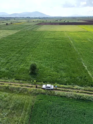 Denizli Tavas Garipköy Mahallesi 7.085 m² satılık arazi arsa - Fotoğraf 2