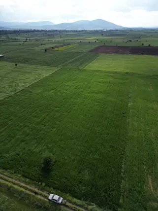 Denizli Tavas Garipköy Mahallesi 7.085 m² satılık arazi arsa - Fotoğraf 3