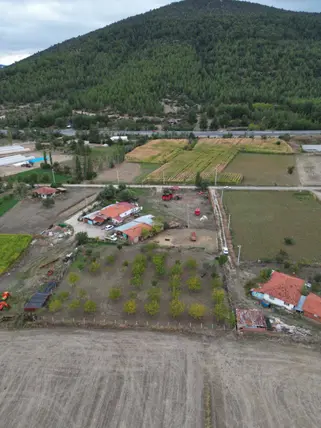 Denizli Tavas Solmaz Mahallesi 2.384 m² satılık bağ & Bahçe arsa - Fotoğraf 2