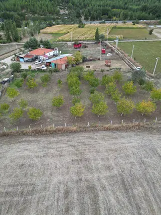 Denizli Tavas Solmaz Mahallesi 2.384 m² satılık bağ & Bahçe arsa - Fotoğraf 3