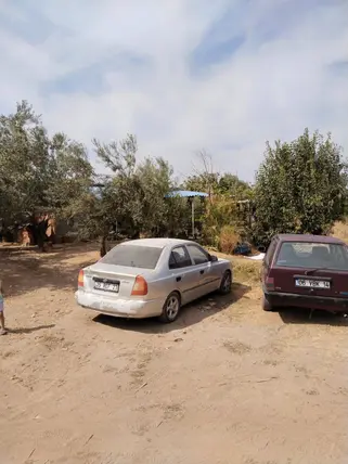 Manisa Ahmetli Gökkaya Mahallesi 1.600 m² satılık bağ & Bahçe arsa - Fotoğraf 2