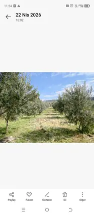 Denizli Buldan Yenicekent Mahallesi 3.369 m² satılık bağ & Bahçe arsa - Fotoğraf 3