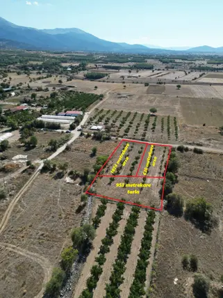 Denizli Tavas Bahçeköy Mahallesi 1.074 m² satılık konut arsa - Fotoğraf 3