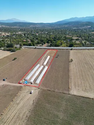 Denizli Tavas Yaka Mahallesi 4.103 m² satılık tarla arsa - Fotoğraf 3