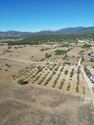 Denizli Tavas Bahçeköy Mahallesi 1.638 m² satılık konut arsa - Fotoğraf 3