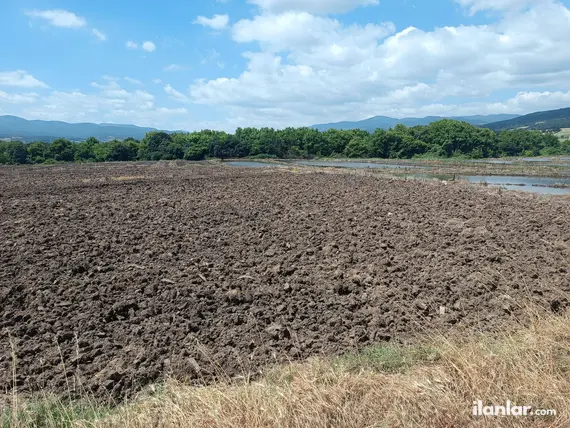 Balıkesir Gönen Karaağaçalan Mahallesi 53.250 m² satılık tarla arsa - Fotoğraf 3