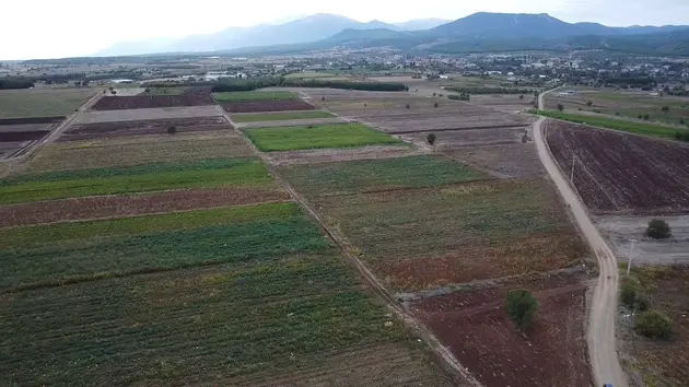 Denizli Acıpayam Akalan Mahallesi 2.201 m² satılık tarla arsa - Fotoğraf 2