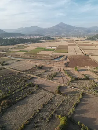 Denizli Tavas Kızılca Mahallesi 977 m² satılık bağ & Bahçe arsa - Fotoğraf 3