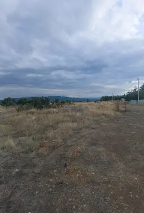 Denizli Acıpayam Akalan Mahallesi 4.942 m² satılık tarla arsa - Fotoğraf 2