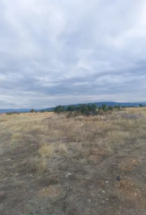 Denizli Acıpayam Akalan Mahallesi 4.942 m² satılık tarla arsa - Fotoğraf 3