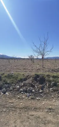 Denizli Tavas Bahçeköy Mahallesi 1.500 m² satılık konut arsa - Fotoğraf 2