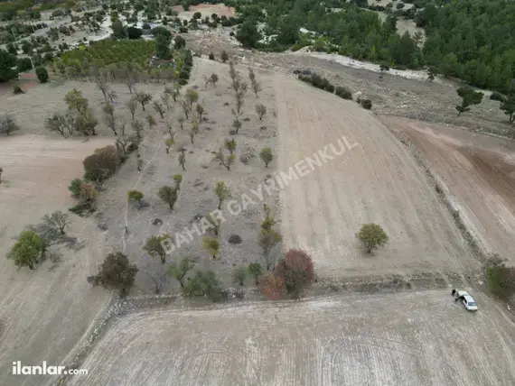 Denizli Tavas Kızılcabölük Mahallesi 12.707 m² satılık tarla arsa - Fotoğraf 3