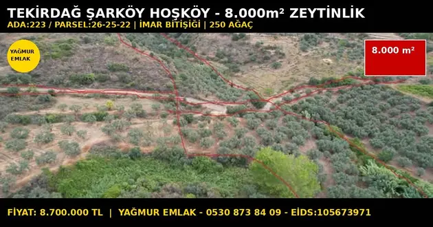 Tekirdağ Şarköy Hoşköy Mahallesi 8.000 m² satılık bağ & Bahçe arsa - Fotoğraf 2