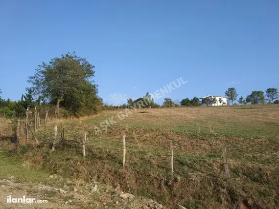 Samsun 19 Mayıs Beylik Mahallesi 3.100 m² satılık tarla arsa - Fotoğraf 2