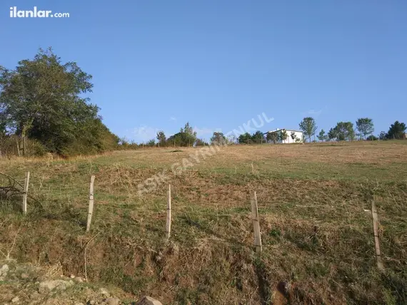 Samsun 19 Mayıs Beylik Mahallesi 3.100 m² satılık tarla arsa - Fotoğraf 3