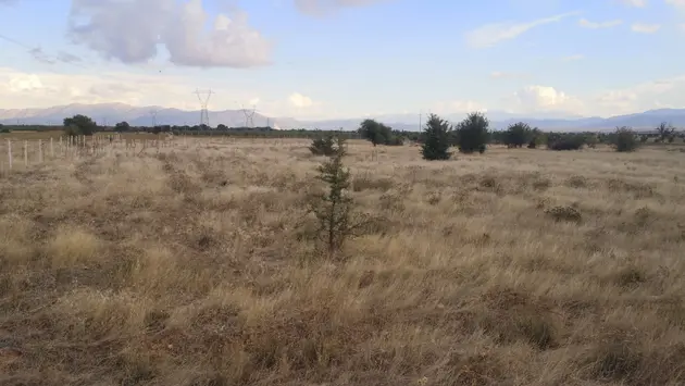 Denizli Tavas Karahisar Mahallesi 4.300 m² satılık tarla arsa - Fotoğraf 3