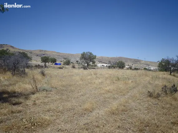 Ankara Sincan Girmeç Mahallesi 1.828 m² satılık bağ & Bahçe arsa - Fotoğraf 2