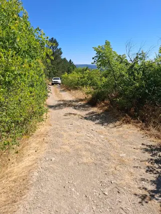 Kütahya Domaniç Çamlıca Köyü Mahallesi 1.600 m² satılık muhtelif Arsa arsa - Fotoğraf 3