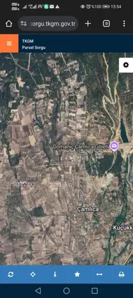 Kütahya Domaniç Çamlıca Köyü Mahallesi 1.600 m² satılık muhtelif Arsa arsa - Fotoğraf 2