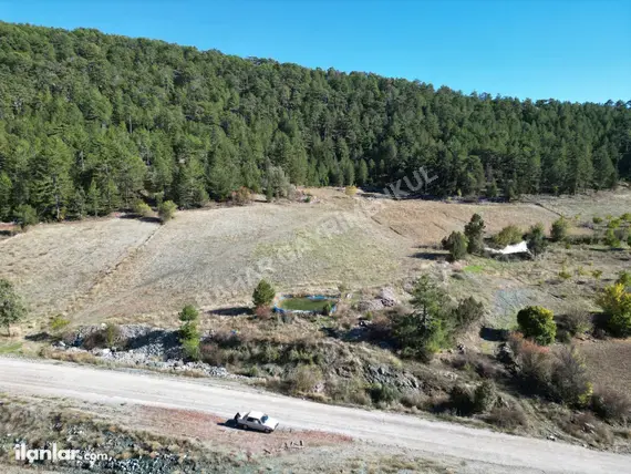 Denizli Kale Karayayla Mahallesi 16.490 m² satılık tarla arsa - Fotoğraf 2