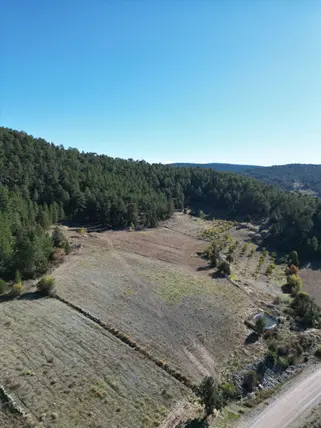 Denizli Kale Karayayla Mahallesi 16.490 m² satılık tarla arsa - Fotoğraf 3