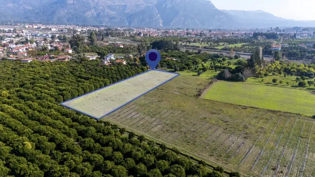 Muğla Köyceğiz Ulucami Mahallesi 4.000 m² satılık tarla arsa - Fotoğraf 3