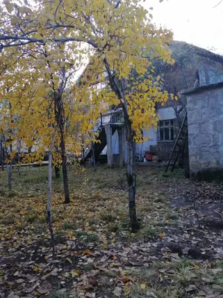 Bitlis Merkez Yükseliş Mahallesi 3+1 200 m² satılık müstakil Ev - Fotoğraf 3