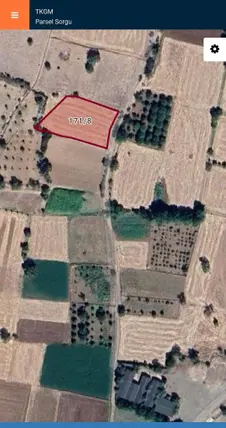 Denizli Acıpayam Kurtlar Mahallesi 1.658 m² satılık tarla arsa - Fotoğraf 3