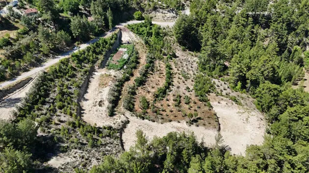 Denizli Çameli Ericek Mahallesi 11.693 m² satılık tarla arsa - Fotoğraf 2