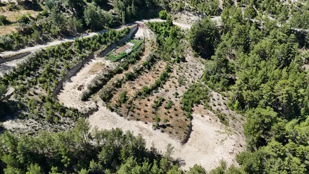 Denizli Çameli Ericek Mahallesi 11.693 m² satılık tarla arsa - Fotoğraf 3
