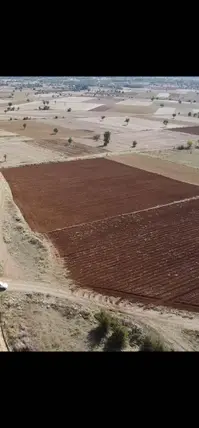 Denizli Tavas Yorga Mahallesi 460 m² satılık tarla arsa - Fotoğraf 3