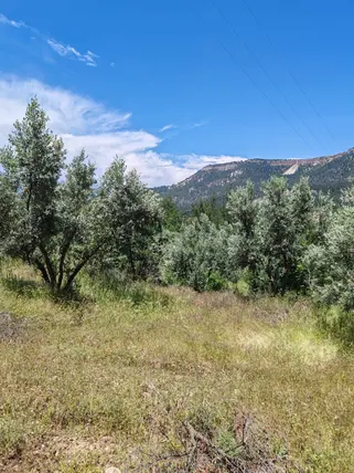 Denizli Kale Yenidere Mahallesi 3.762 m² satılık tarla arsa - Fotoğraf 3