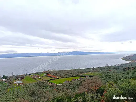 Bursa Orhangazi Gölyaka Mahallesi 1.733 m² satılık zeytinlik arsa - Fotoğraf 3