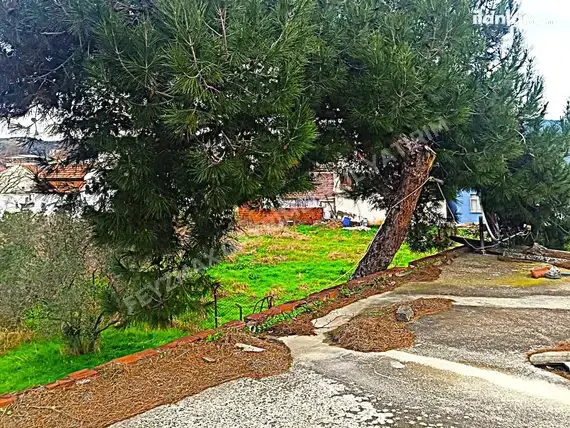 Bursa Mudanya Esence Mahallesi 750 m² satılık turizm + Konut arsa - Fotoğraf 2