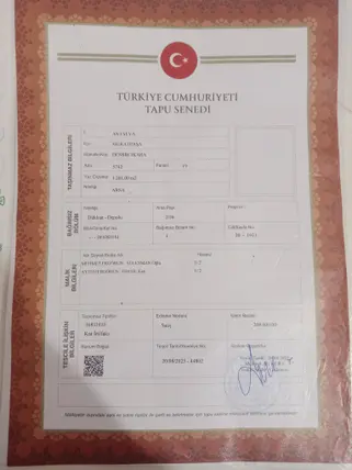 Antalya Muratpaşa Fener Mahallesi 170 m² satılık dükkan & Mağaza - Fotoğraf 3