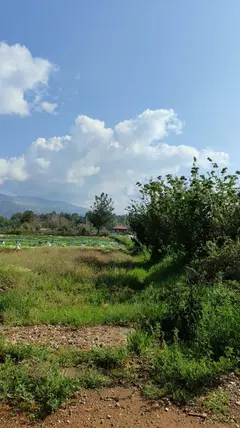 Denizli Beyağaç Uzunoluk Mahallesi 1.762 m² satılık konut arsa - Fotoğraf 2
