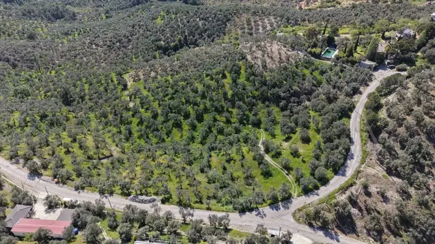Çanakkale Ayvacık Bahçedere Köyü Mahallesi 3.489 m² satılık zeytinlik arsa - Fotoğraf 3