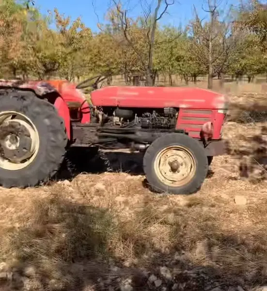 İlan Görseli https://cdn.ilanlar.com/images/l1/l2/{width}/{height}/10002447_1761267477585877000.jpg