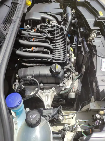 İlan Görseli https://cdn.ilanlar.com/images/l1/l2/{width}/{height}/10002485_1761394196392829321.jpg