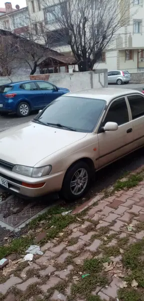 İlan Görseli 2