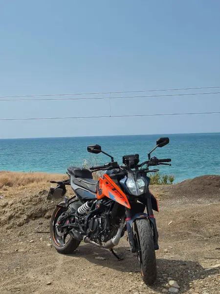 İlan Görseli https://cdn.ilanlar.com/images/l1/l2/{width}/{height}/10005261_1774893373842529962.jpg