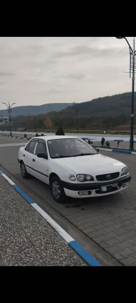 İlan Görseli 3