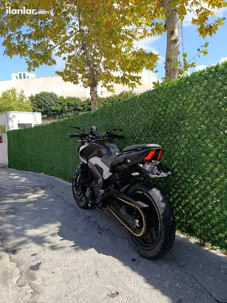2023 Bajaj Dominar 250 D benzinli manuel motosiklet - Fotoğraf 1