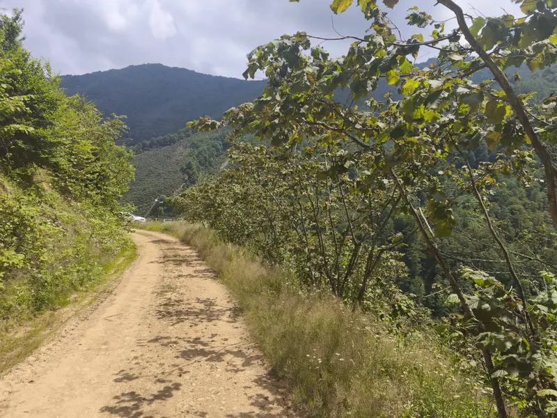 İlan Görseli https://cdn.ilanlar.com/images/l1/l2/30001003_1753008780525677861.jpg?mode=pad&bgcolor=F8FAFB