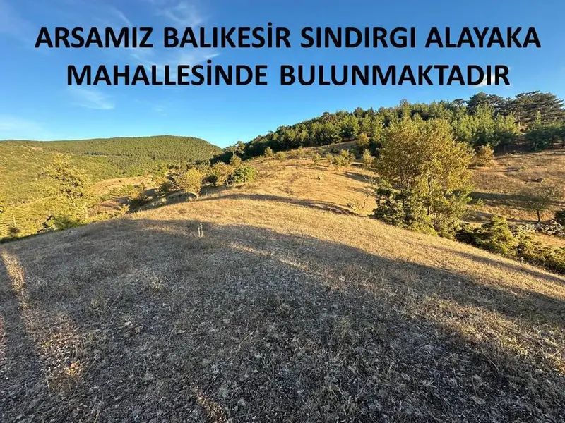 İlan Görseli https://cdn.ilanlar.com/images/l1/l2/{width}/{height}/30001030_1760617936820587713.jpg