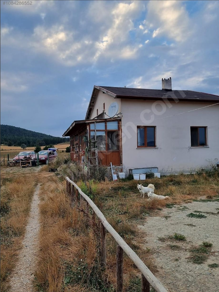 İlan Görseli https://cdn.ilanlar.com/images/l1/l2/{width}/{height}/30001102_1753278557230041923.png