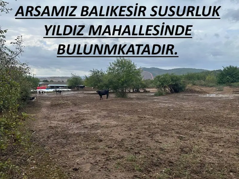 İlan Görseli https://cdn.ilanlar.com/images/l1/l2/{width}/{height}/30001352_1760619286343285542.jpg